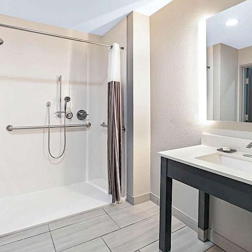 The image shows a modern bathroom with a walk-in shower equipped with a grab bar, alongside a sink with a large mirror and countertop.